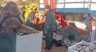 Tonlarca balıkla döndüler: Tekirdağ'da balık bereketi