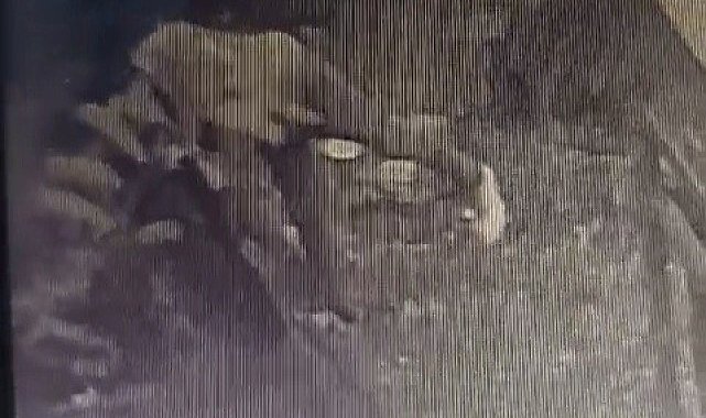 Trafo hırsızı önce kameraya sonra polise yakalandı