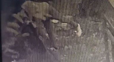 Trafo hırsızı önce kameraya sonra polise yakalandı