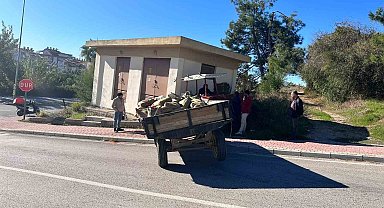 Trafoya çarpan traktörün sürücüsü yaralandı