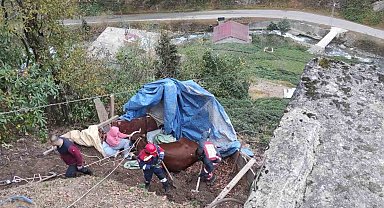 Uçurumdan aşağı düşerek mahsur kalan ineği itfaiye ekipleri kurtardı