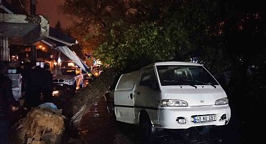 Üzerine ağaç düşen aracın sürücüsü yara almadan kurtuldu