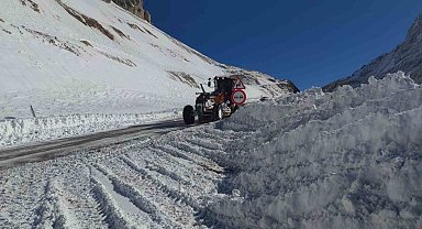 Van-Bahçesaray yolu ulaşıma açıldı