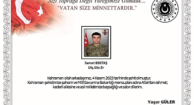 Van'da bir asker şehit oldu