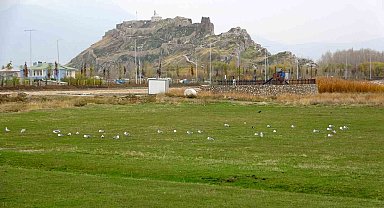 Van'daki 'bahar havası' bilim adamlarını endişelendiriyor