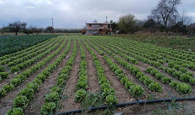 Yağış ve doludan etkilenen tarım arazilerinde kontroller başladı