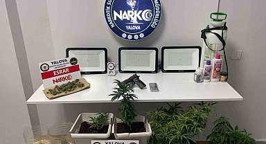 Yalova'daki uyuşturucu operasyonlarında 2 gözaltı