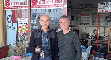 Yaralı bulduğu şahini tedavi ettirdi