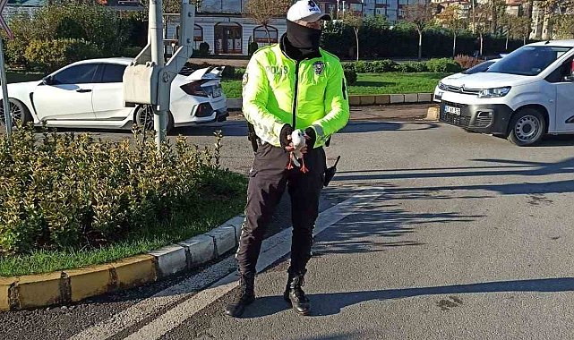 Yaralı martıya polisten şefkat eli
