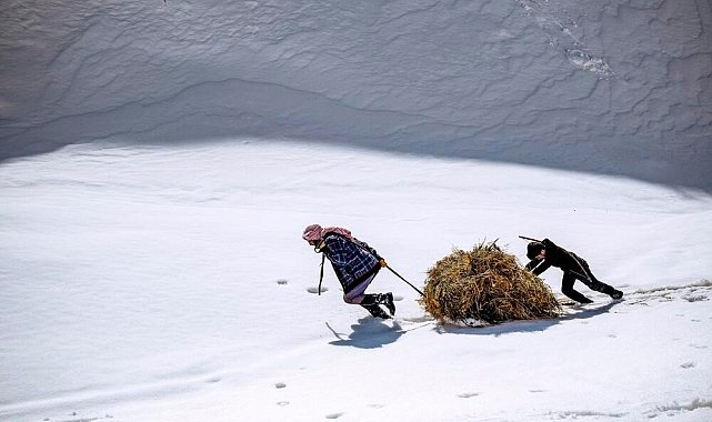 Yardımlaşmanın fotoğrafı