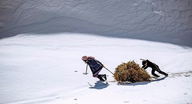 Yardımlaşmanın fotoğrafı