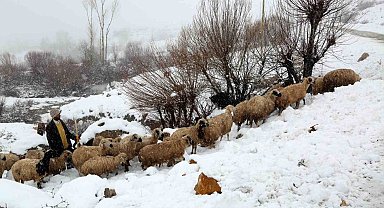 Yaylalardan indirilmeye başlanan koyun sürüsü kar, tipiye yakalandı
