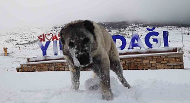 Yıldızdağı'nda kar kalınlığı 10 santimetreye ulaştı