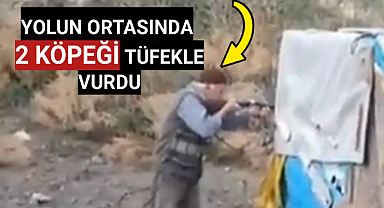 Yolun ortasında 2 köpeği vurdu