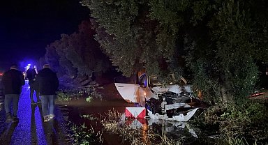 Zeytin ağacına çarpan aracın sürücüsü kazadan hafif yaralı kurtuldu