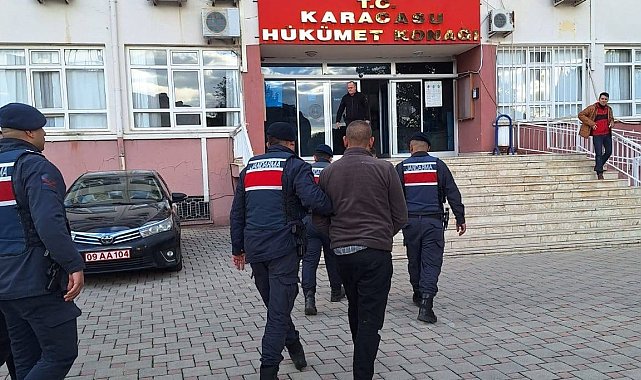 Zeytinyağı dolandırıcıları Aydın jandarmasına takıldı: 3 tutuklama