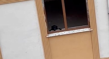 1 daire 3 kişiye satılınca 15 yıldır yıkılamayan binada köpek kurtarma çalışması yapıldı