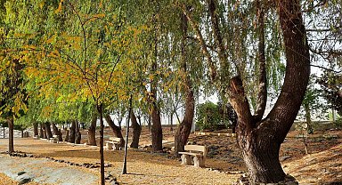 'Bor'da Sonbahar' temalı fotoğraf yarışması sonuçlandı