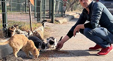 'Enkaz' isimli kedileri enkaz bölgesinde besliyor