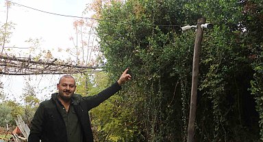 50 tavuğu ortadan kaybolan adam, gerçeği kamera görüntülerini izleyince fark etti