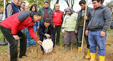 7 bin Kestane ve Trabzon Hurması fidanı dağıtıldı