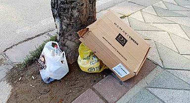 Ağaç dipleri çöplük oldu