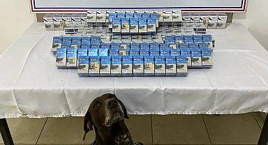 Ağrı'da gümrük kaçağı sigara yakalandı