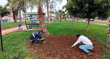 Akdeniz'de park, bahçe ve yeşil alanlar çiçekleniyor