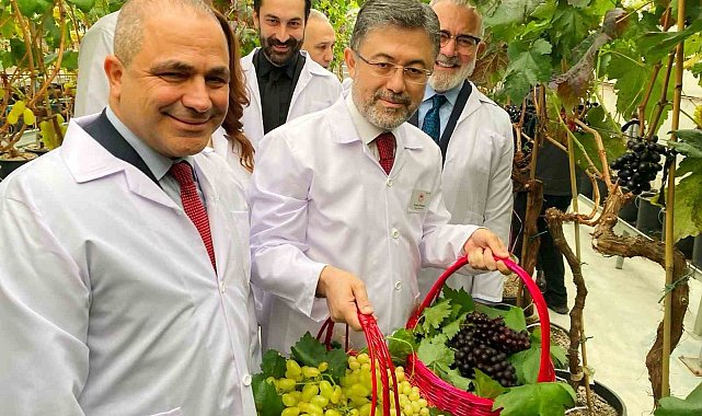 Alaşehirli üzüm üreticilerine müjde