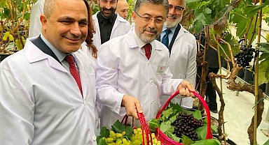 Alaşehirli üzüm üreticilerine müjde