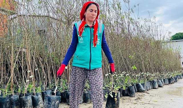 Aliağa Belediyesinden üreticilere 18 bin 600 adet fidan desteği