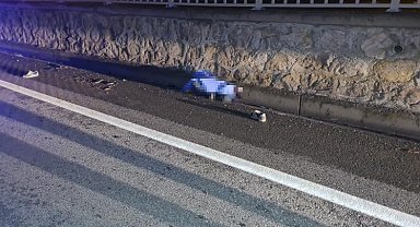 Alkollü sürücünün çarptığı yaya hayatını kaybetti