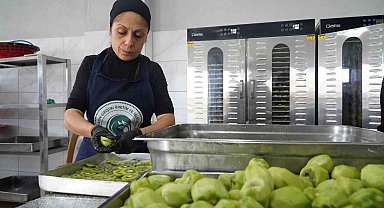 Altınova'nın kadınları üretimle güçleniyor