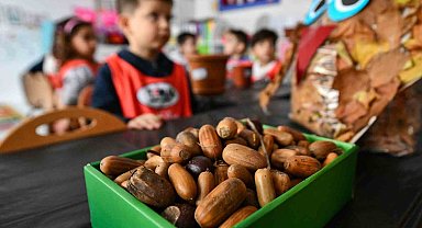 Ankara Büyükşehir Belediyesi Çocuk Etkinlik Merkezlerindeki minikler meşe palamudu ekti