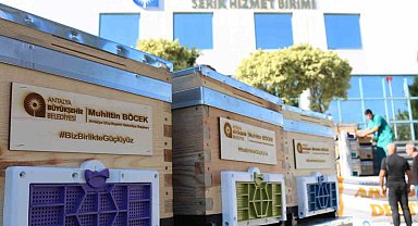 Antalya Büyükşehir'den Serikli üreticilere büyük destek