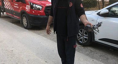 Apartman boşluğuna düşen güvercini itfaiye ekipleri kurtardı
