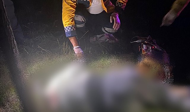 Aracını tamir eden tır şoförüne çarparak ölümüne neden olan sürücü yakalandı