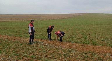 Arazi denetimleri ve çiftçi bilgilendirme toplantıları yapıldı