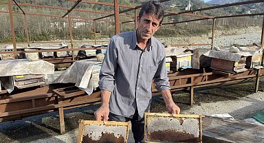 Arılarının 'Kafkas arısı' olduğunu ispatladı şimdi de zararının ödenmesi için mücadele ediyor