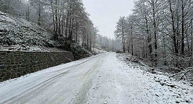 Artvin'de kar yağışı nedeniyle 13 köy yolu ulaşıma kapandı