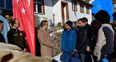 Aşılama ile buzağı ölümlerinin azalması hedefleniyor