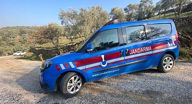 Aydın'da 1 kişi 50 kilo çalıntı zeytinle suçüstü yakalandı