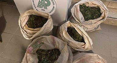 130 kilogram salep soğanı ele geçirildi