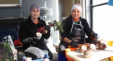 Aydınlı gıda mühendisi pancarın değerini arttırdı