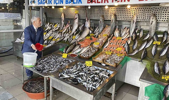 Bağışıklığı korumak için palamut ve hamsi yeme önerisi
