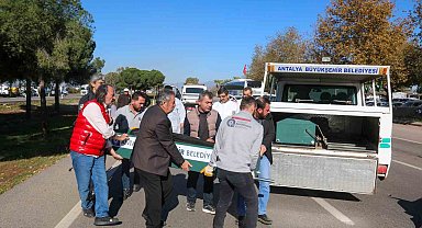 Bahçesine gitmek isterken otomobilin çarpmasıyla can verdi