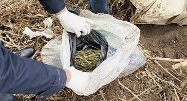Bahçeye gömdüğü uyuşturucu ile yakalanan şahıs tutuklandı