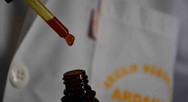 Bal arılarının ürettiği Propolis ayrıştırılıyor