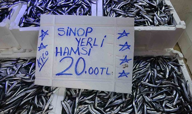 Balıkçı tezgahlarında hamsi bolluğu: Fiyatı 20 TL