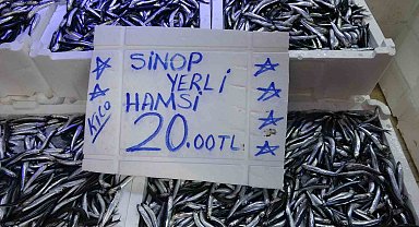 Balıkçı tezgahlarında hamsi bolluğu: Fiyatı 20 TL